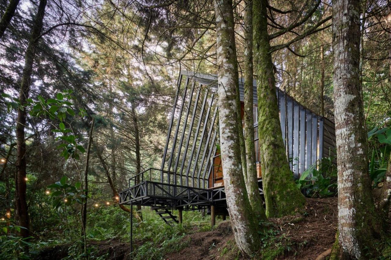 Hotel Oculto Refugio De Bosque Envigado Zewnętrze zdjęcie