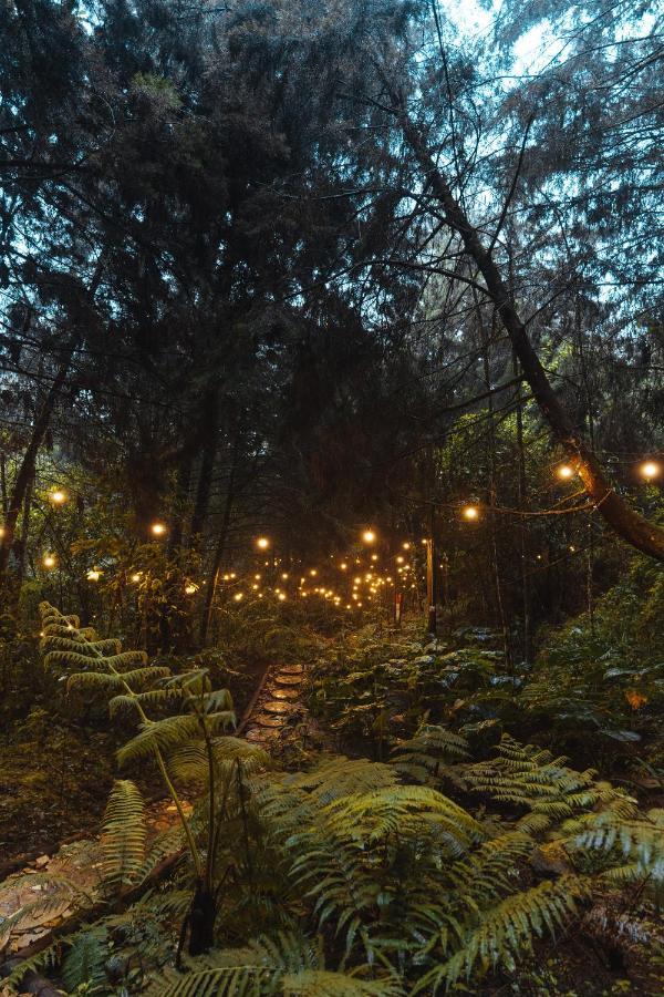 Hotel Oculto Refugio De Bosque Envigado Zewnętrze zdjęcie