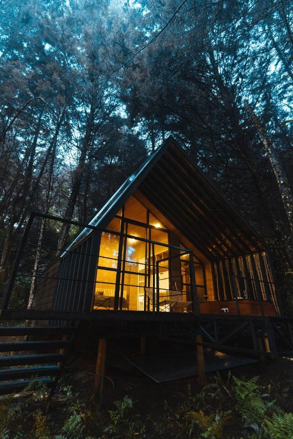 Hotel Oculto Refugio De Bosque Envigado Zewnętrze zdjęcie