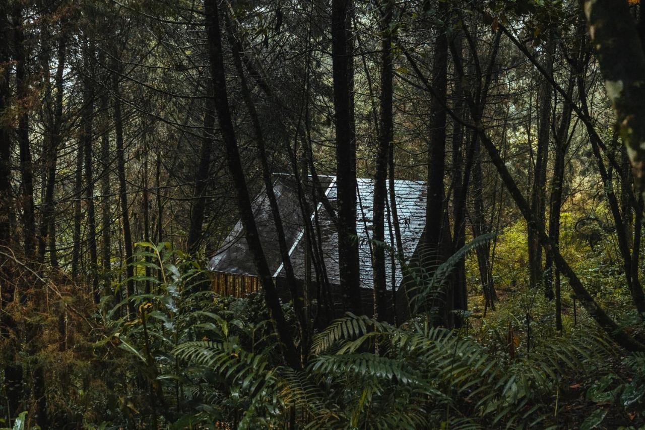 Hotel Oculto Refugio De Bosque Envigado Zewnętrze zdjęcie